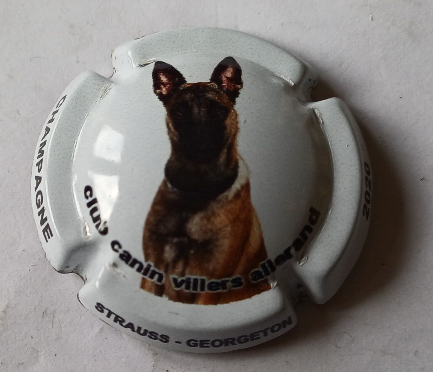 BELLE CAPSULE CHAMPAGNE STRAUSS GEORGETON CLUB CANIN 2020 REF N°A13a NEWS