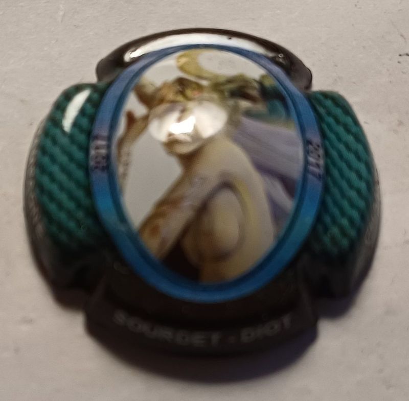 BELLE CAPSULE CHAMPAGNE SOURDET DIOT 2017 REF N°19j NEWS