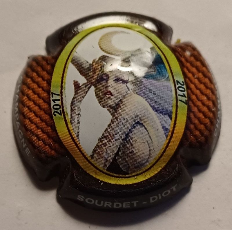 BELLE CAPSULE CHAMPAGNE SOURDET DIOT 2017 REF N°19k NEWS