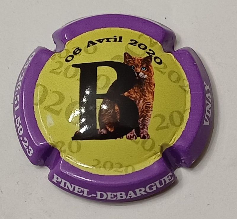 BELLE CAPSULE CHAMPAGNE PINEL DEBARGUE 06/04/2020 REF N°19h NEWS