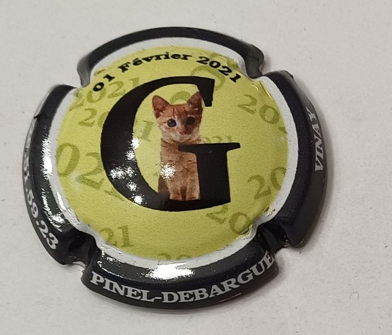 BELLE CAPSULE CHAMPAGNE PINEL DEBARGUE 01/02/2021 REF N°19k NEWS