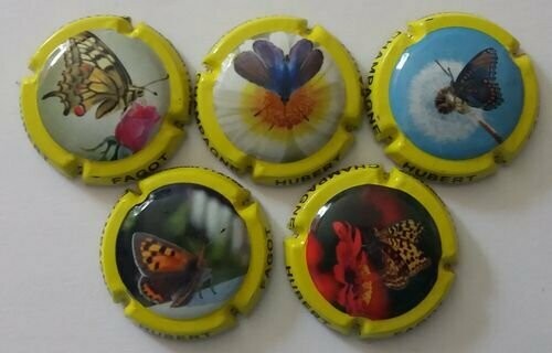 5 BELLES CAPSULES CHAMPAGNE FAGOT HUBERT PAPILLONS REF N°4 a 4d NEWS