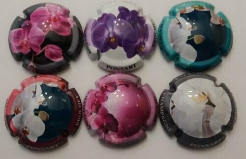 6 BELLES CAPSULES CHAMPAGNE PONSART BROCHET ORCHIDÉES REF N°19 a 19e NEWS