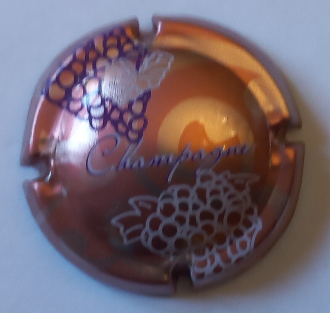 BELLE CAPSULE CHAMPAGNE GENERIQUE REF N°686 NEWS