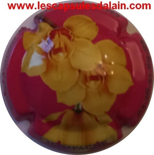 BELLE CAPSULE CHAMPAGNE CHAMPION OUY FLEUR NEWS