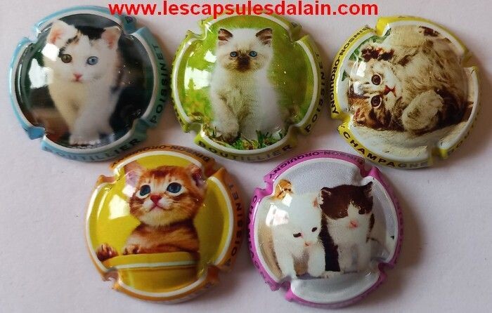 5 BELLES CAPSULES CHAMPAGNE BOUTILLIER POISSINET LES CHATS 2023 REF N°10 a 10d NEWS