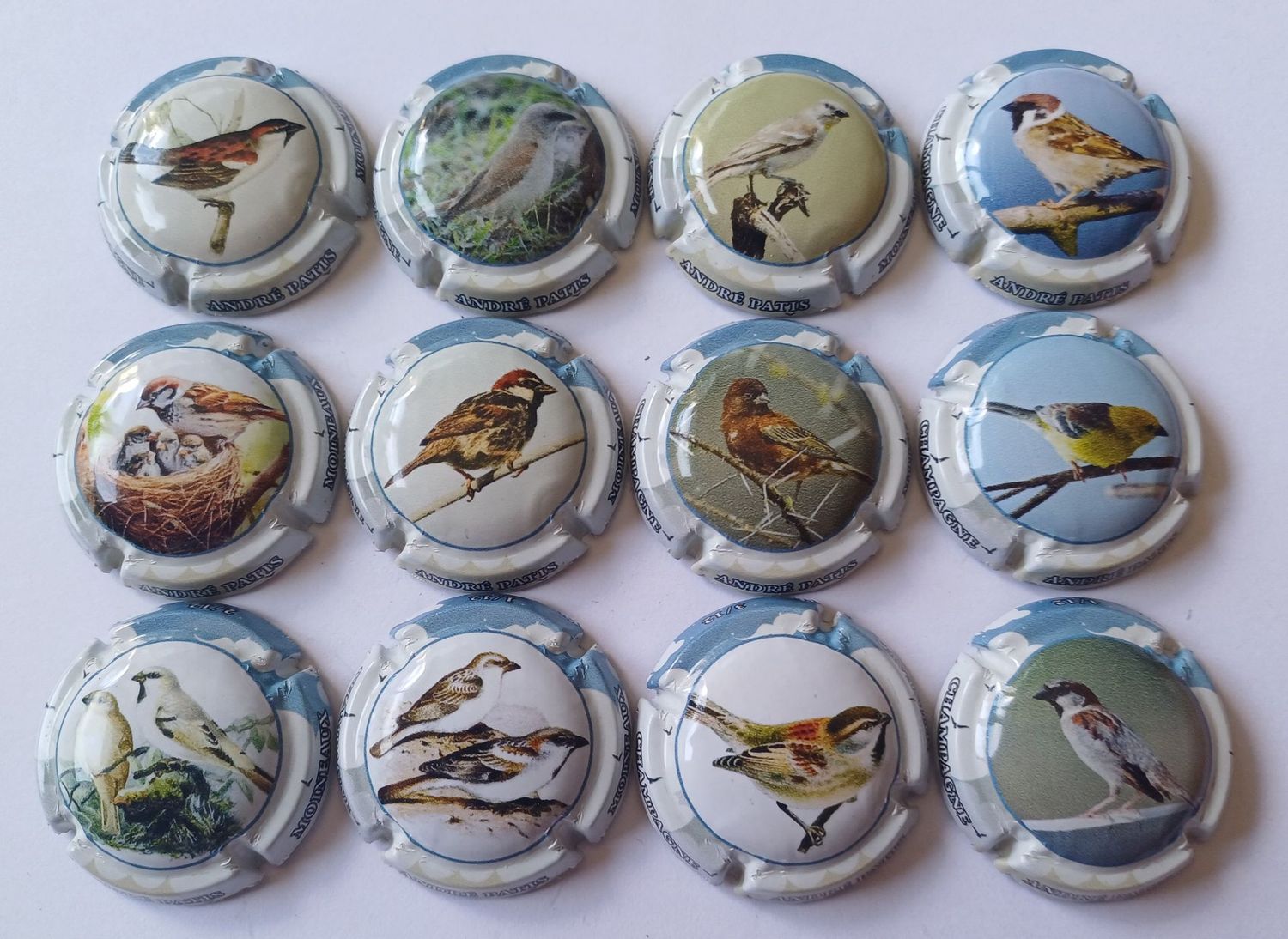 12 BELLES CAPSULES CHAMPAGNE ANDRE PATIS OISEAUX 2025 REF N°42 a 42k NEWS