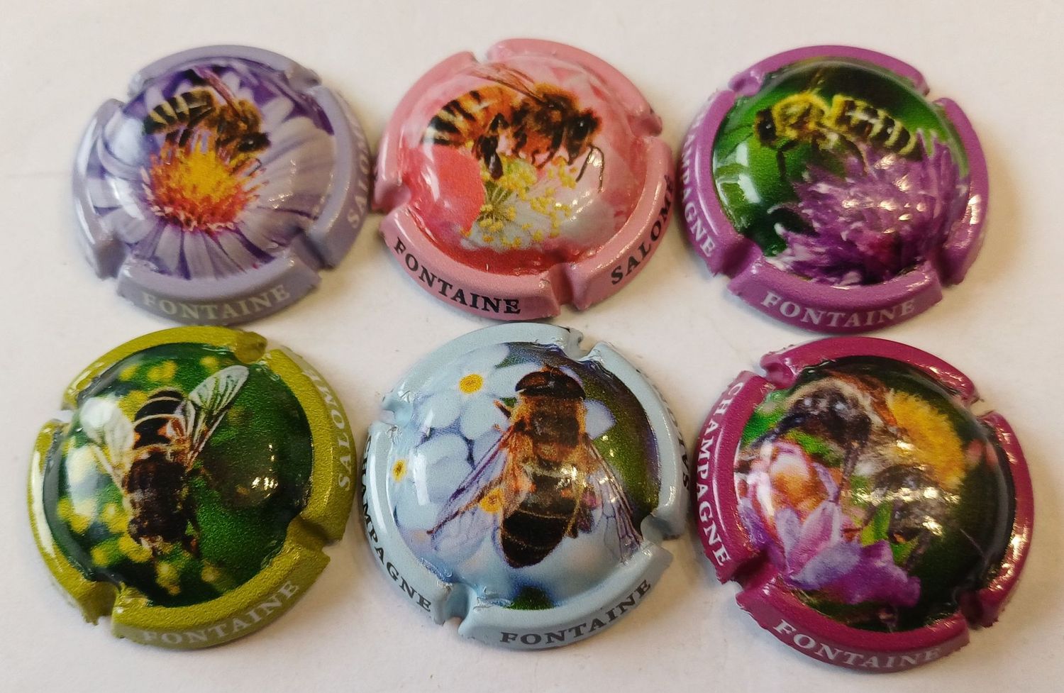 6 BELLES CAPSULES CHAMPAGNE FONTAINE SALOME ABEILLES 2025 NEWS
