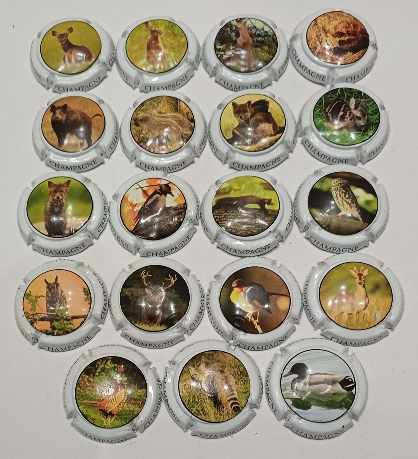 19 BELLES CAPSULES CHAMPAGNE GENERIQUE ANIMAUX SAUVAGE REF N°C219 a C219r NEWS