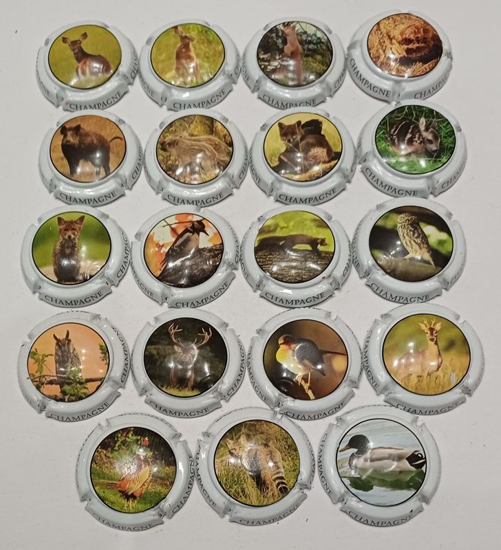 19 BELLES CAPSULES CHAMPAGNE GENERIQUE ANIMAUX SAUVAGE REF N°C219 a C219r NEWS