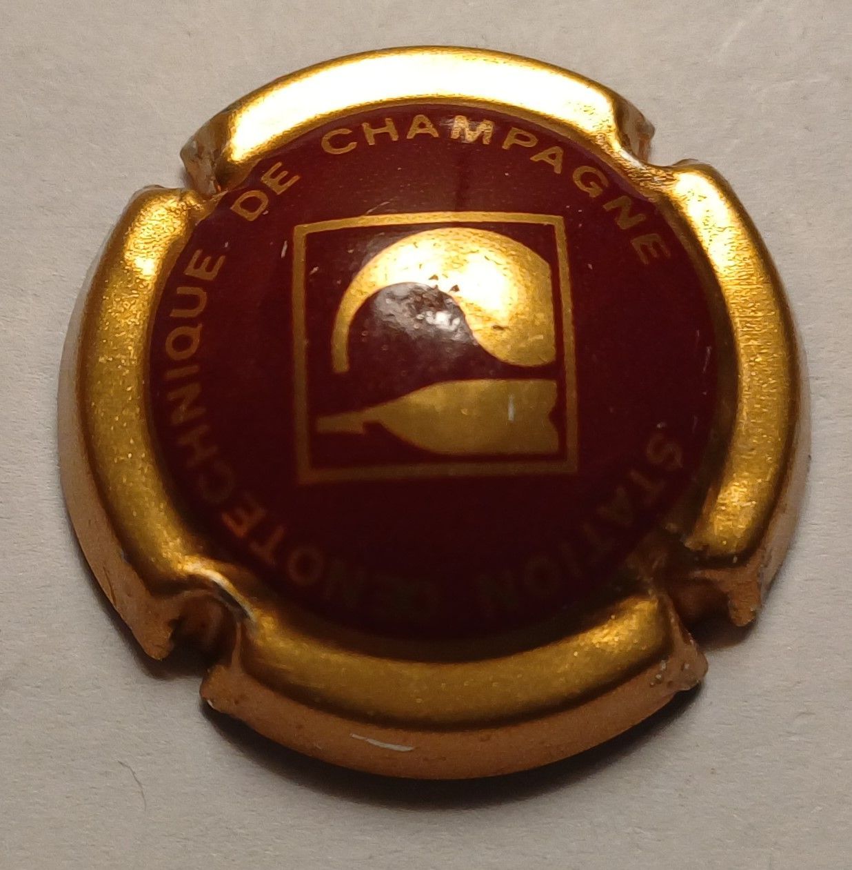 BELLE CAPSULE CHAMPAGNE STATION OENOTECHNIQUE COMPLAISANCE NEWS