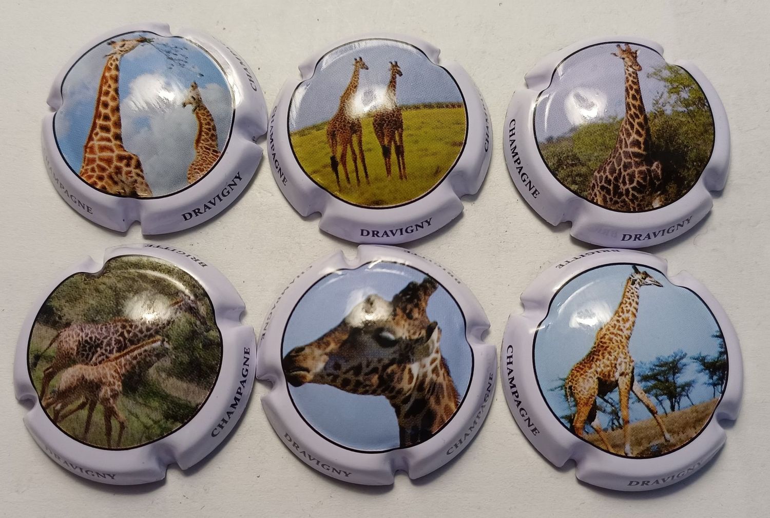 6 BELLES CAPSULES CHAMPAGNE DRAVIGNY BRIGITTE GIRAFE REF N° 1 a 1e NEWS