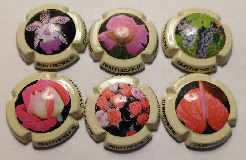 6 BELLES CAPSULES CHAMPAGNE QUATRESOLS FLEURS REF N°19 a 19e NEWS 6 BELLES CAPSULES CHAMPAGNE QUATRESOLS FLEURS REF N°19 a 19e NEWS