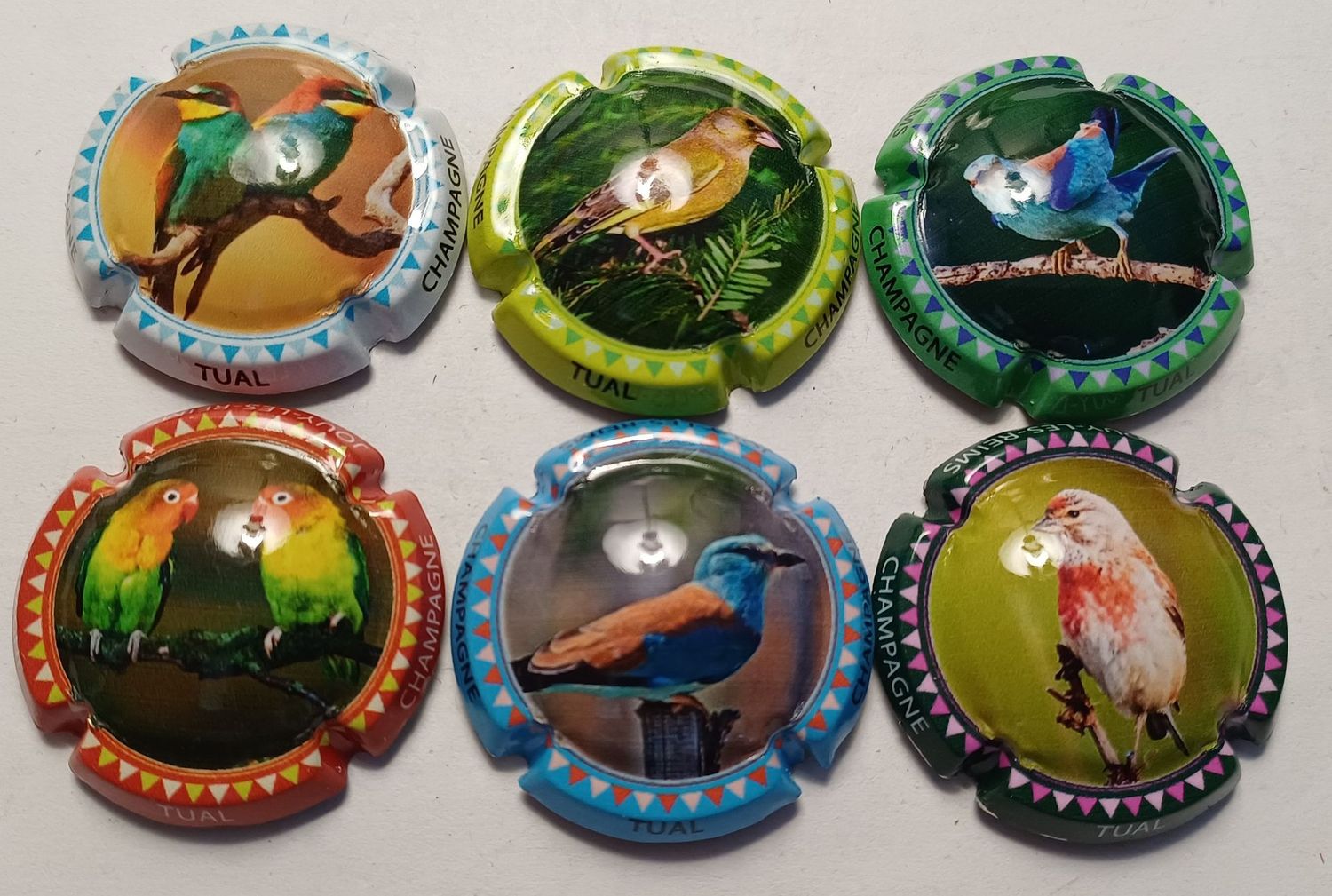 6 BELLES CAPSULES CHAMPAGNE TUAL OISEAUX REF N°13 a 13e NEWS