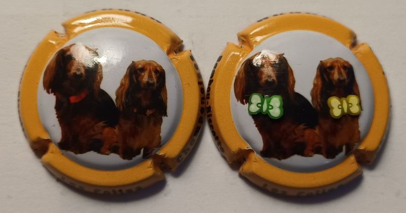 2 BELLES CAPSULES CHAMPAGNE GENERIQUE RELIEF CHIENS NEWS 2 BELLES CAPSULES CHAMPAGNE GENERIQUE RELIEF CHIENS NEWS