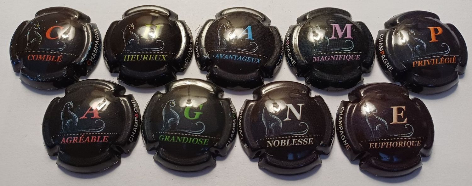 9 BELLES CAPSULES CHAMPAGNE GENERIQUE PUZZLE REF N°988 a 988h NEWS