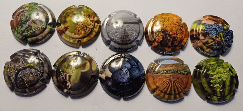 10 BELLES CAPSULES CHAMPAGNE GENERIQUE LA VIGNE NEWS