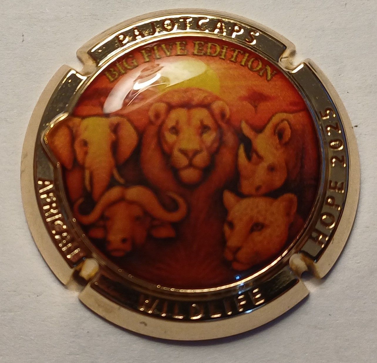 BELLE CAPSULE CHAMPAGNE BIJOU VIGIER PERROT AFRICAN WLIDLIFE REF N°72 360EX NEWS