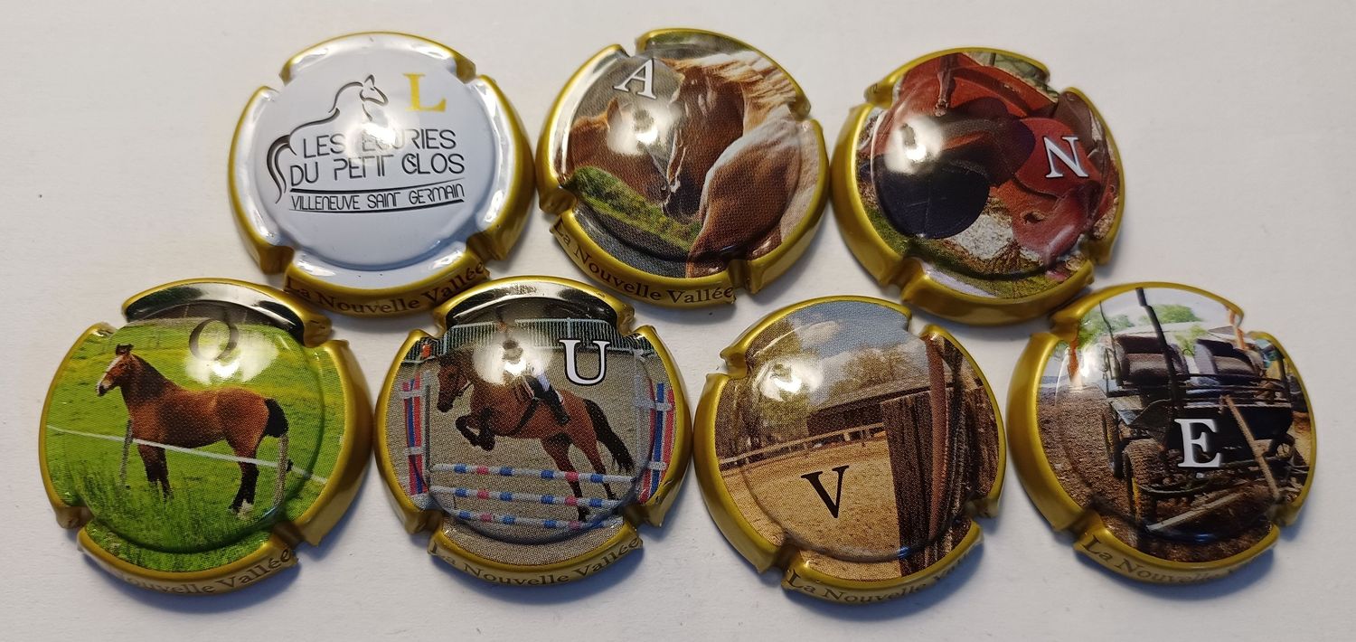 7 BELLES CAPSULES CHAMPAGNE CHOPIN DIDIER NOUVELLE VALLEE REF N° A1 a A1f NEWS