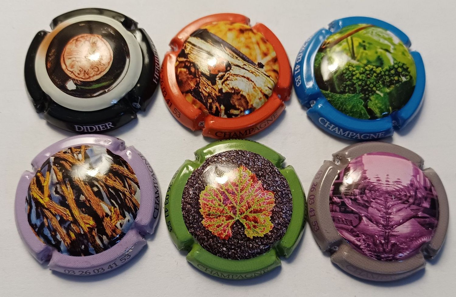 6 BELLES CAPSULES CHAMPAGNE DIDIER HERBERT REF N°233 a 233e NEWS