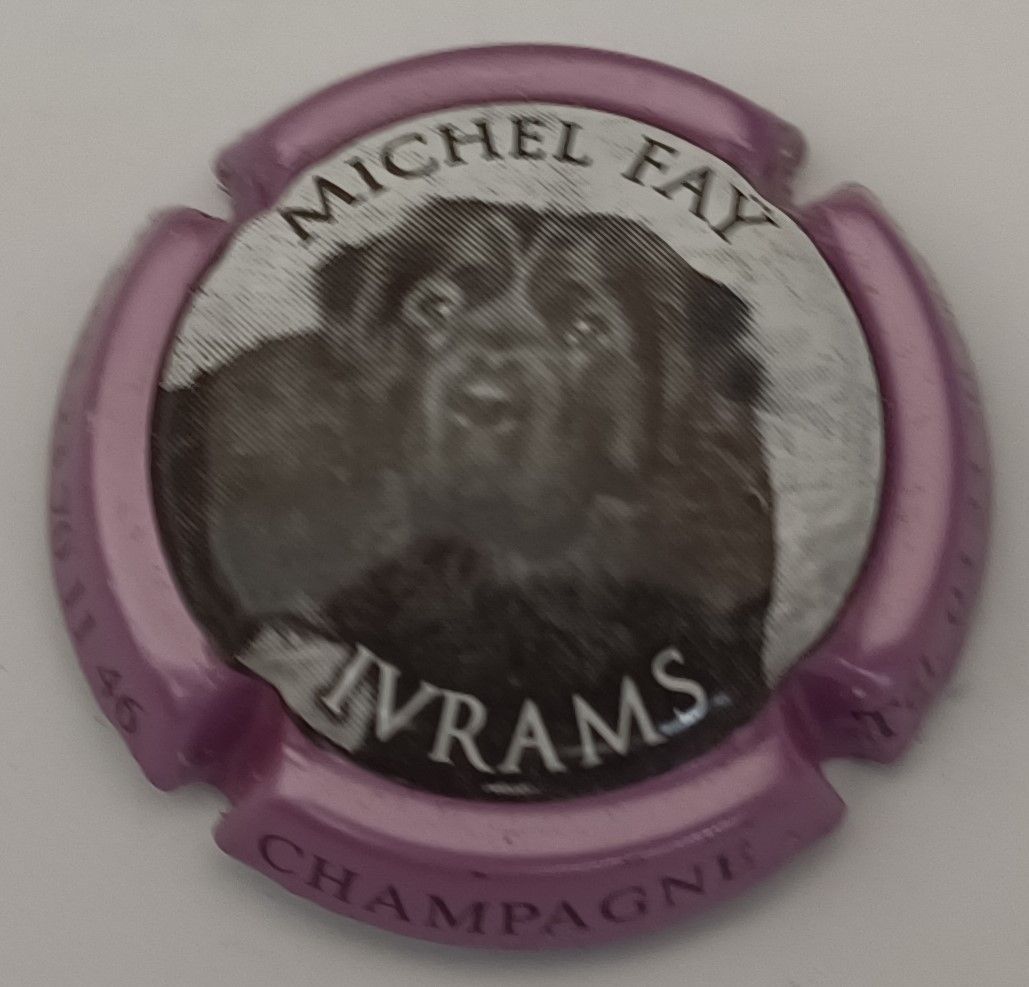 BELLE CAPSULE CHAMPAGNE FAY MICHEL IVRAMS REF N° 17c NEWS