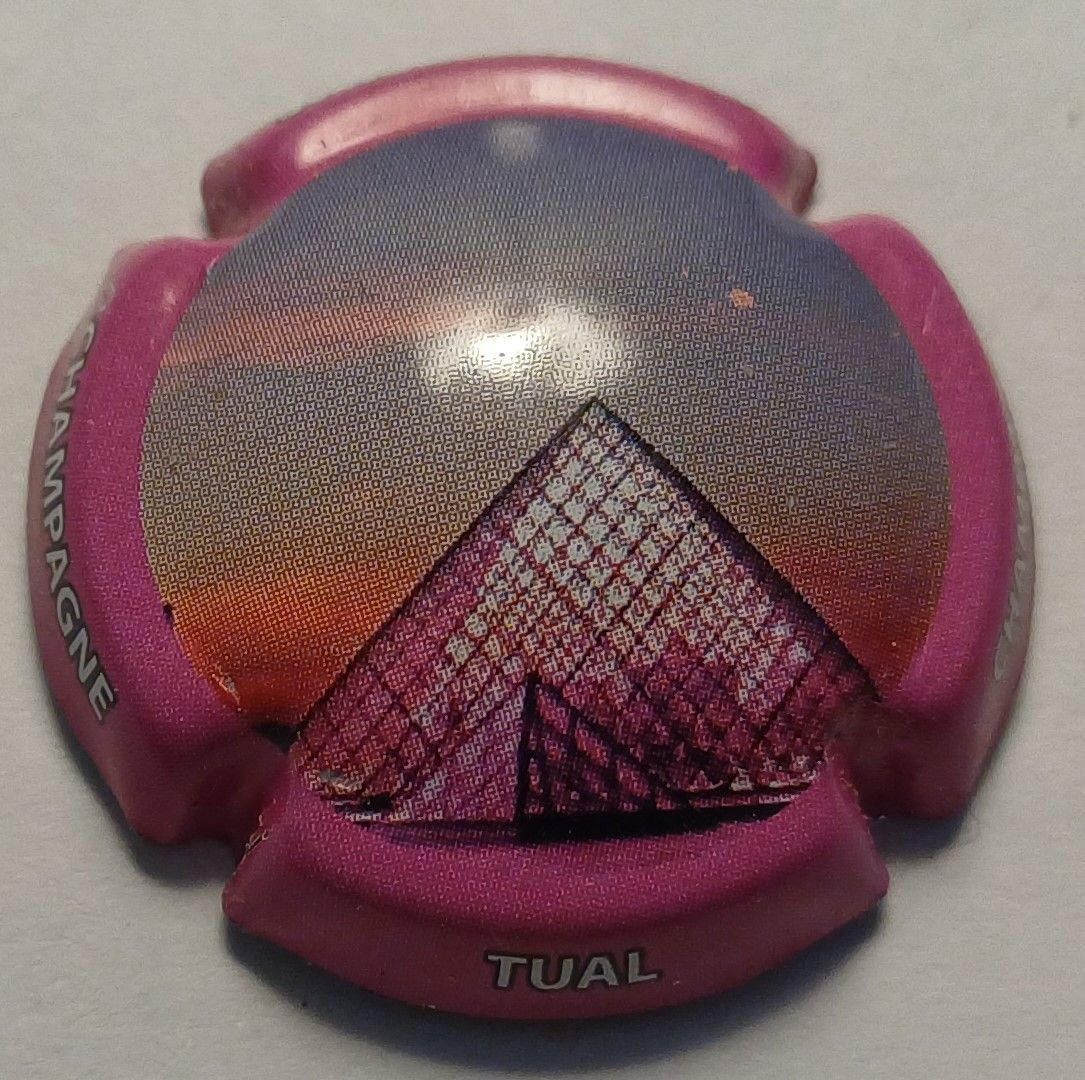 BELLE CAPSULE CHAMPAGNE TUAL REF N° 7d NEWS