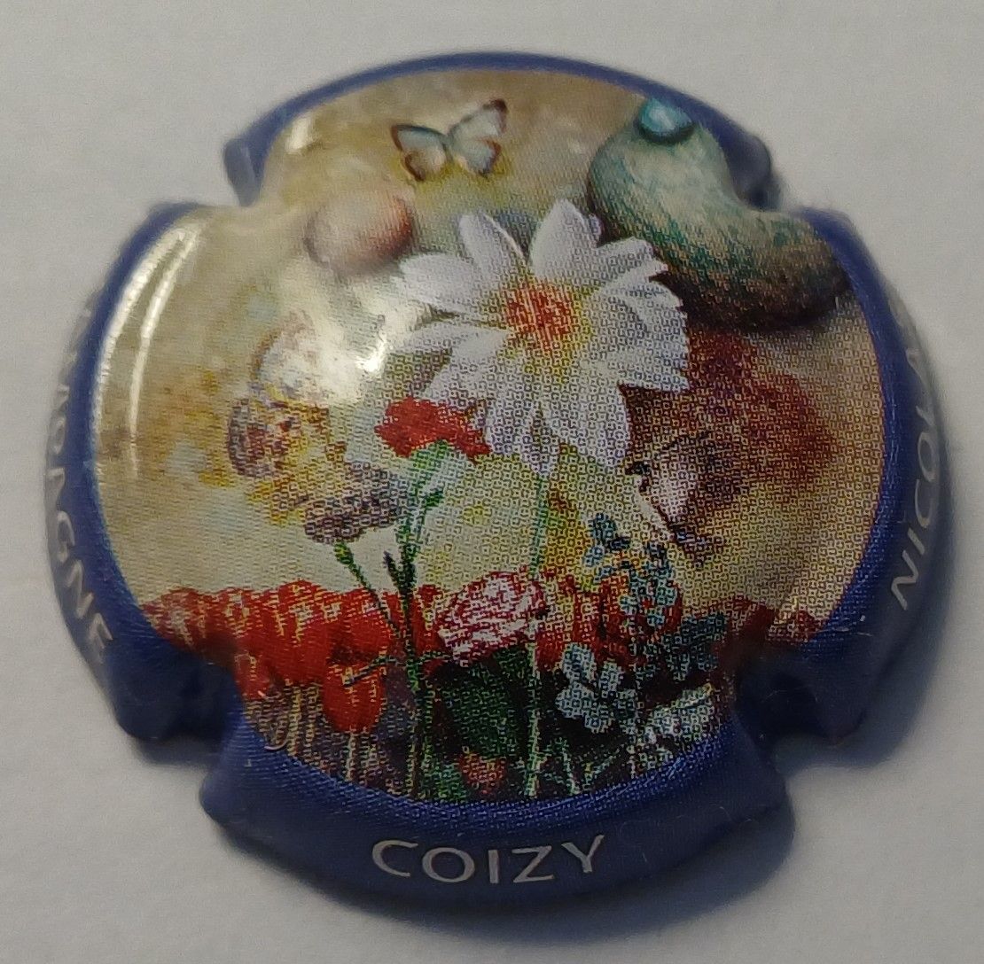 BELLE CAPSULE CHAMPAGNE COIZY NICOLAS REF N°1 NEWS