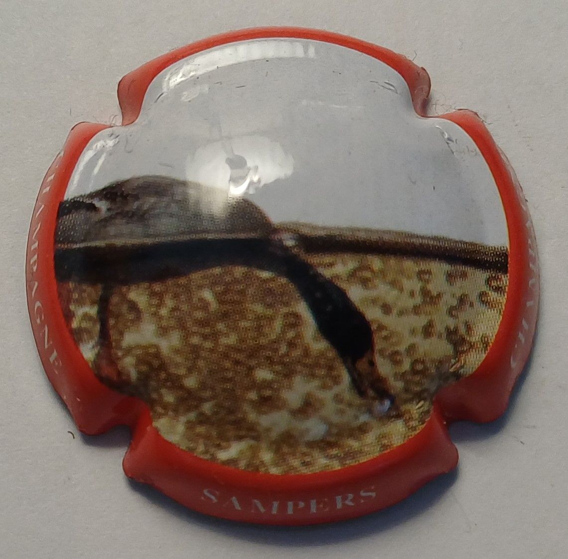 BELLE CAPSULE CHAMPAGNE SAMPERS CLAUDE ANIMAUX REF N°10a NEWS