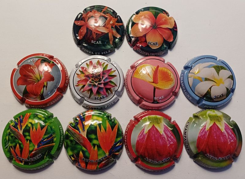 10 BELLES CAPSULES CHAMPAGNE PINEL & FILS FLEURS NEWS 10 BELLES CAPSULES CHAMPAGNE PINEL & FILS FLEURS NEWS