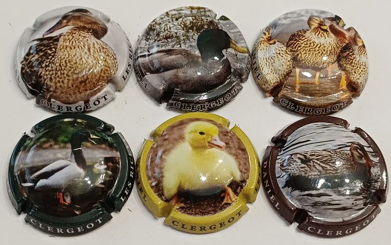 6 BELLES CAPSULES CHAMPAGNE CLERGEOT DANIEL LES CANARDS 2026 NEWS 6 BELLES CAPSULES CHAMPAGNE CLERGEOT DANIEL LES CANARDS 2026 NEWS