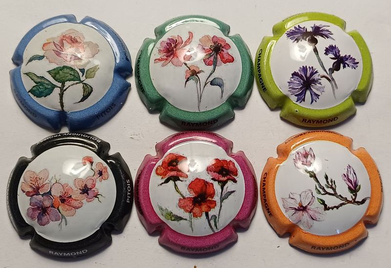 6 BELLES CAPSULES CHAMPAGNE PITOIS RAYMOND FLEURS RÉF N°3 a 3e NEWS