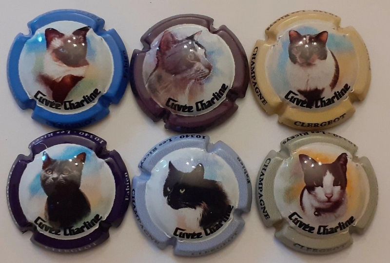 6 BELLES CAPSULES CHAMPAGNE CLERGEOT FABIEN LES CHATS 2020 REF N°9 a 9e NEWS