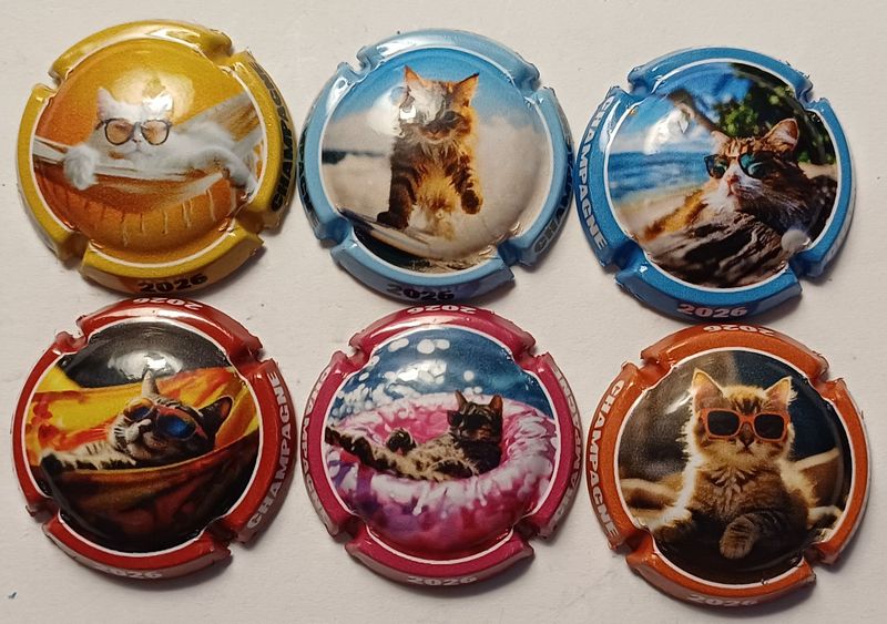 6 BELLES CAPSULES CHAMPAGNE GENERIQUE LES CHATS 2026 NEWS