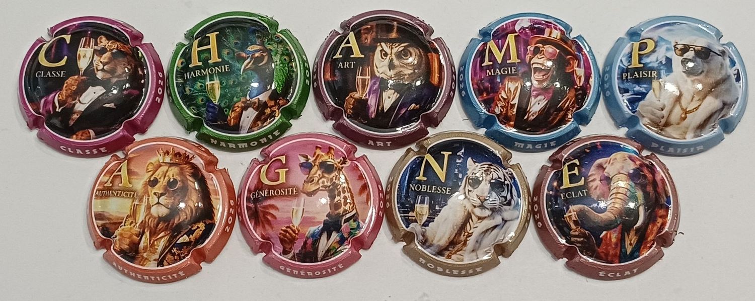 9 BELLES CAPSULES CHAMPAGNE GENERIQUE PUZZLE CHAMPAGNE 2026 NEWS