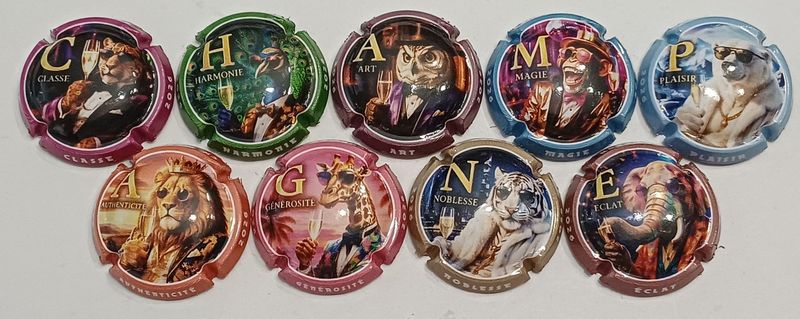 9 BELLES CAPSULES CHAMPAGNE GENERIQUE PUZZLE CHAMPAGNE 2026 NEWS