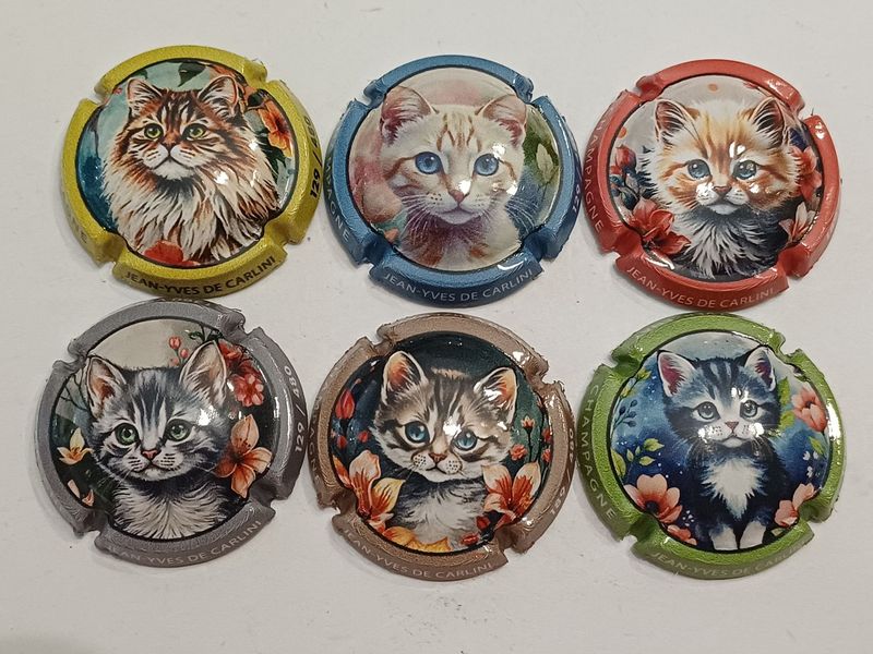 6 BELLES CAPSULES CHAMPAGNE DE CARLINI CHATS 480EX / 2026 NEWS