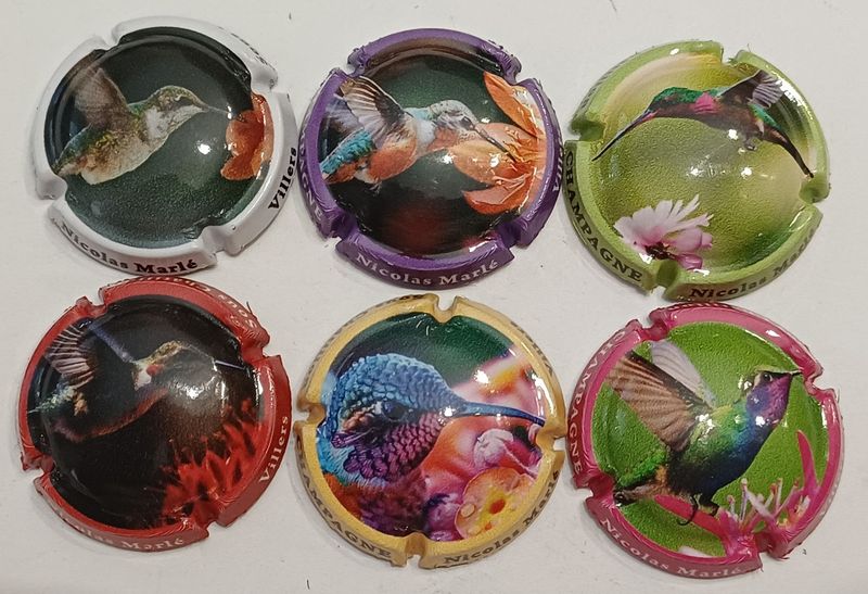 6 BELLES CAPSULES CHAMPAGNE MARLE NICOLAS COLIBRI 2026 NEWS