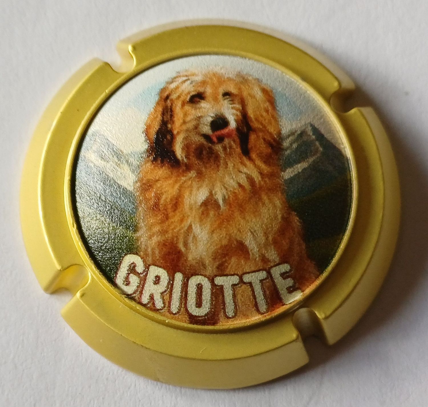BELLES CAPSULES CHAMPAGNE BIJOU CHEUTIN SERGE GRIOTTE OR 120EX 2026 NEWS