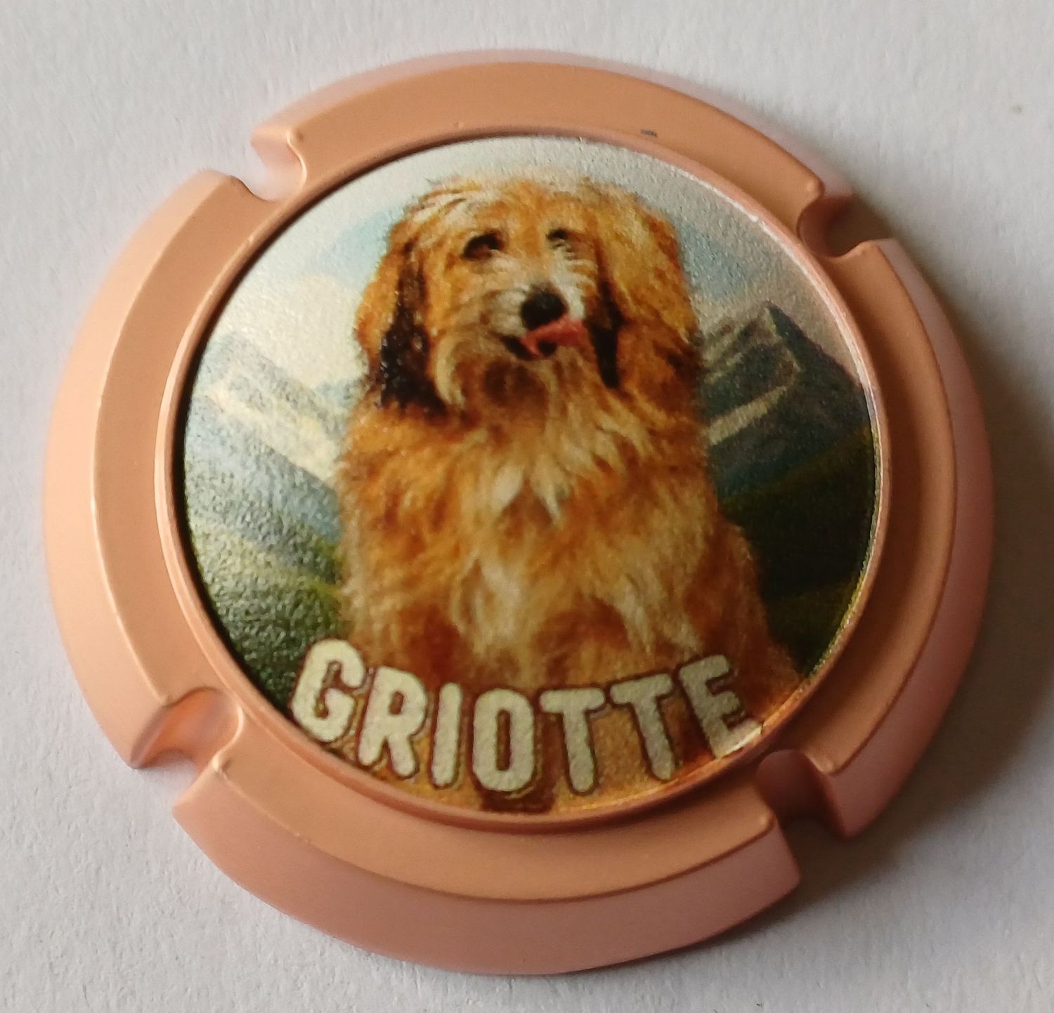 BELLE CAPSULE CHAMPAGNE BIJOU CHEUTIN SERGE GRIOTTE ROSE 120EX 2026 NEWS