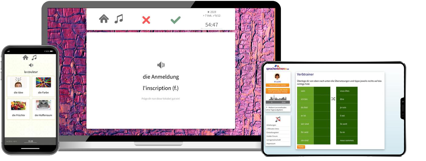 Französisch-Fachwortschatz (C1/C2) + Audiotrainer - Onlinekurs