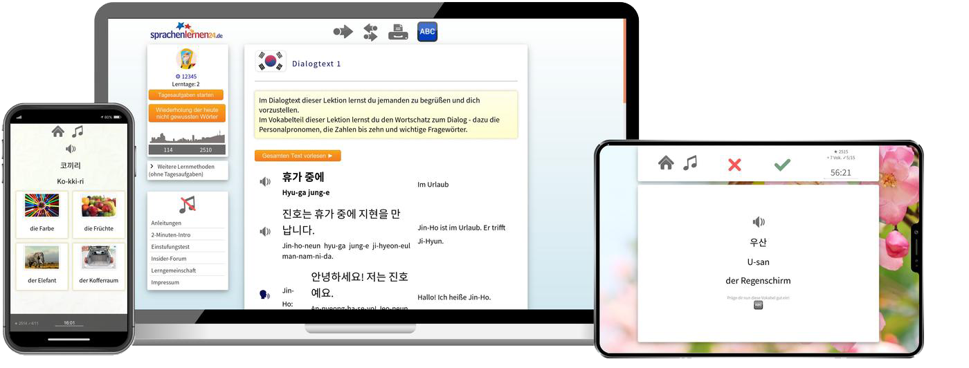 Koreanisch Komplettpaket - Onlinekurs