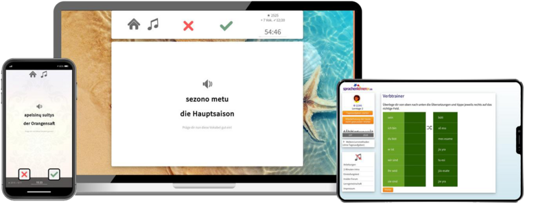 Business-Litauisch (B2/C1) - Onlinekurs Business-Litauisch (B2/C1) - Onlinekurs