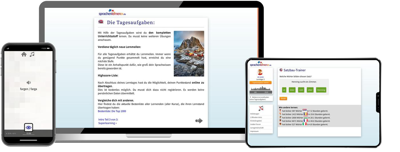 Norwegisch-Komplettpaket - Onlinekurs