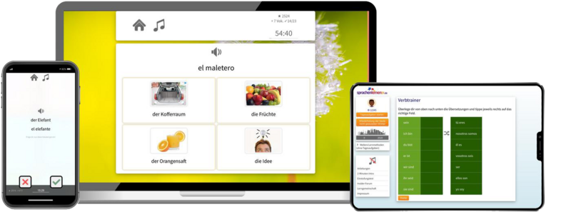 Business-Spanisch (B2/C1) - Onlinekurs Business-Spanisch (B2/C1) - Onlinekurs
