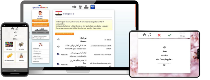 Ägyptisch XXL Sprachpaket Onlinekurs mit Basis Aufbaukurs und Audiotrainer