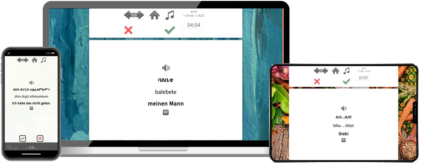 Amharisch Expresskurs A1 Onlinekurs mit Audiotrainer für Anfänger und Reisen