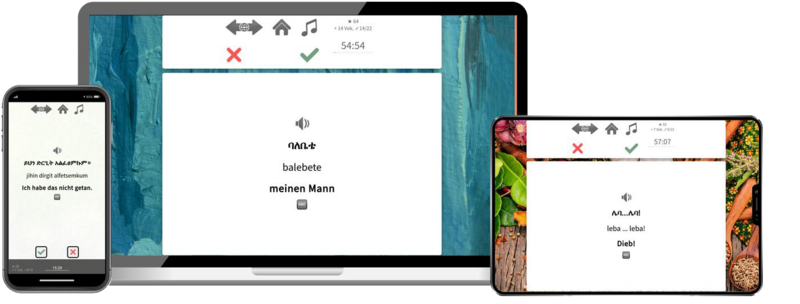 Amharisch Expresskurs A1 Onlinekurs mit Audiotrainer für Anfänger und Reisen