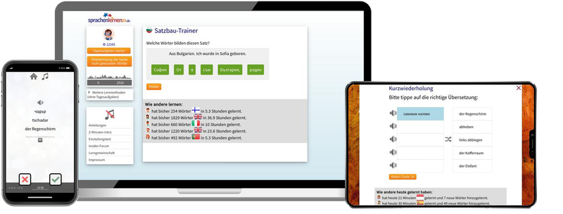 Business-Bulgarisch (B2/C1) - Onlinekurs