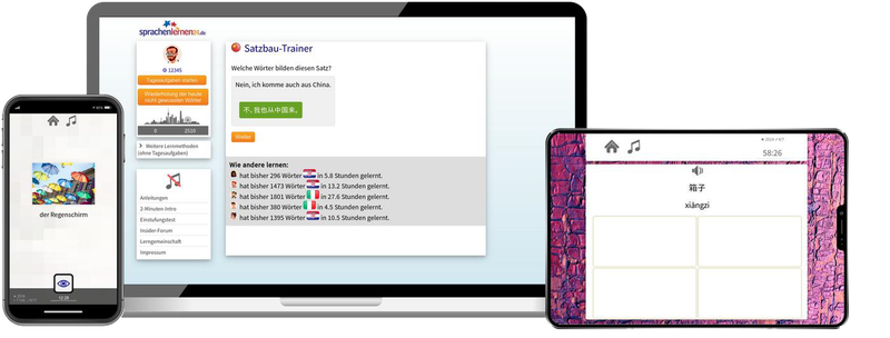 Chinesisch-Fachwortschatz (C1/C2) + Audiotrainer - Onlinekurs