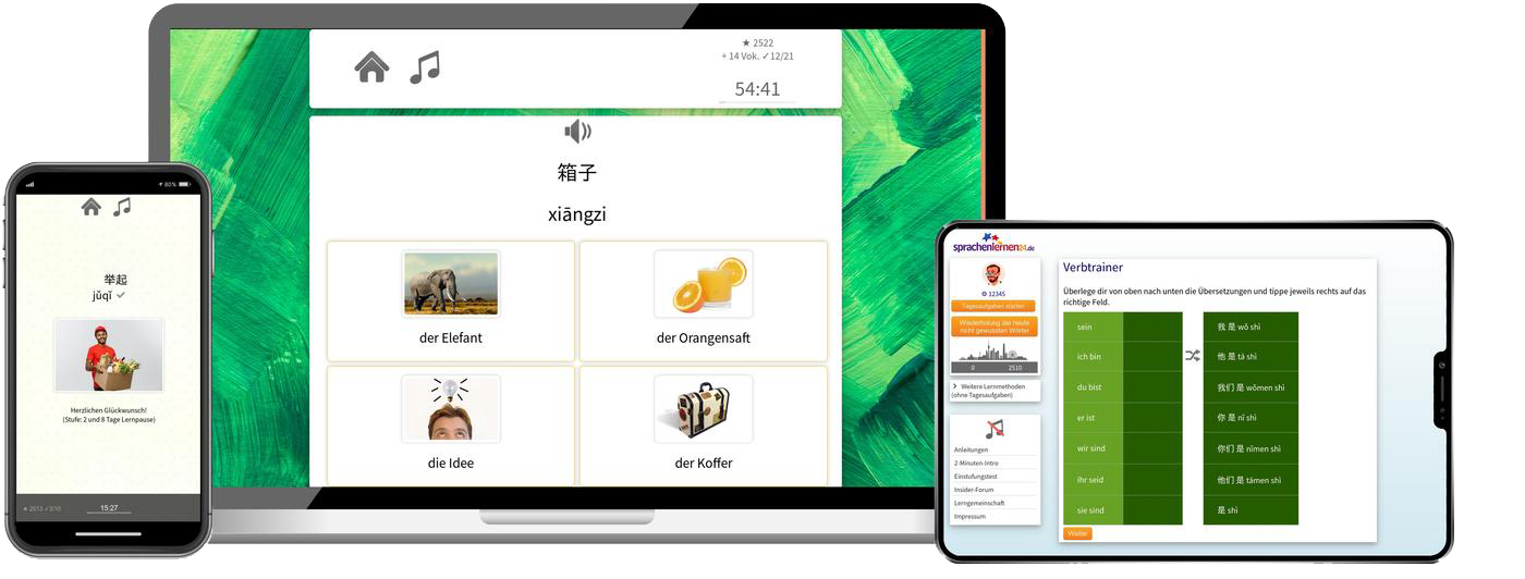 Business-Chinesisch (B2/C1) - Onlinekurs